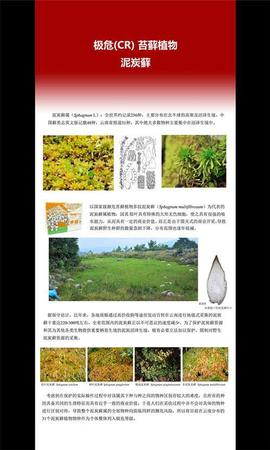 云南发首个省级物种红色名录 2625种生存受威胁