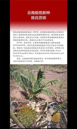 云南发首个省级物种红色名录 2625种生存受威胁