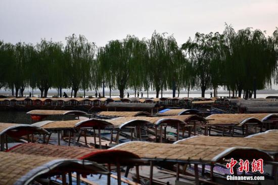 4月16日，雄安新区白洋淀，密密麻麻的手摇游船。<a target='_blank' href='http://www.chinanews.com/'>中新社</a>记者 翟羽佳 摄