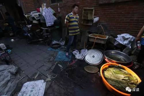 揭秘黑作坊粽子:豆沙长满白毛 馅里还有小肉虫