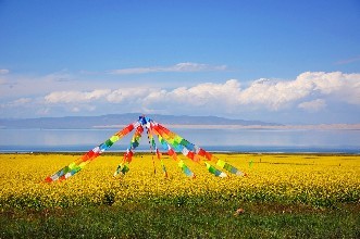 u=121159724,652437907&fm=72 u=121159724,652437907&fm=72