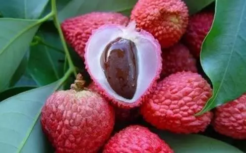 水果贩怎么总拿瓶子给荔枝喷水?记者探访得真相