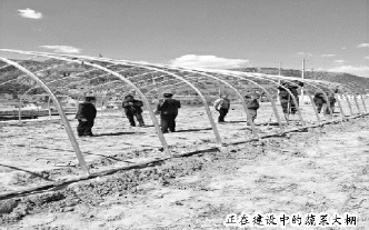 正在建设中的蔬菜大棚