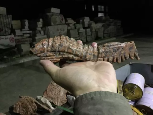 毕业展作品被盗皮皮虾也遭殃 学生贴26个勿触碰