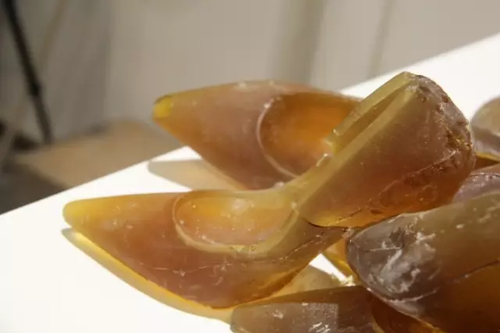 毕业展作品被盗皮皮虾也遭殃 学生贴26个勿触碰