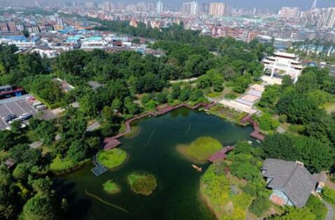 QQ截图20170605154044