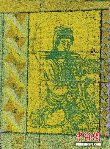 资料图：四川什邡市皂角农科园60余亩“试验田”里培育的彩色油菜花次第开放，吸引了来自四面八方的农业游客目光。刘忠俊 摄