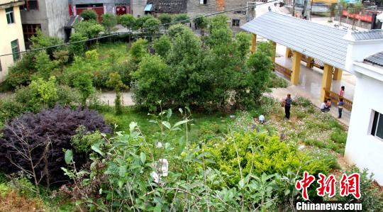 福建乡村的蜕变：昔日臭气熏天今夕花香满园