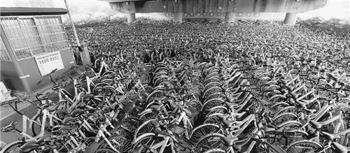 共享单车乱停放闯祸：84岁老人被绊倒缝20多针