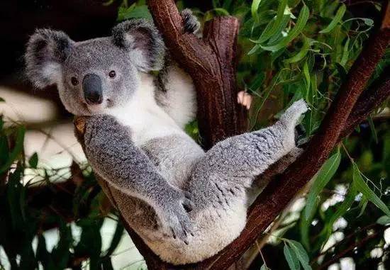 中国的高考很残酷？外国的考生同样不好过