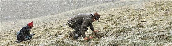 点击进入下一页