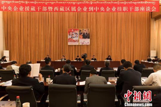 图为6月13日“中央企业援藏干部暨西藏区属企业到中央企业挂职干部座谈会”?！『闻罾?摄