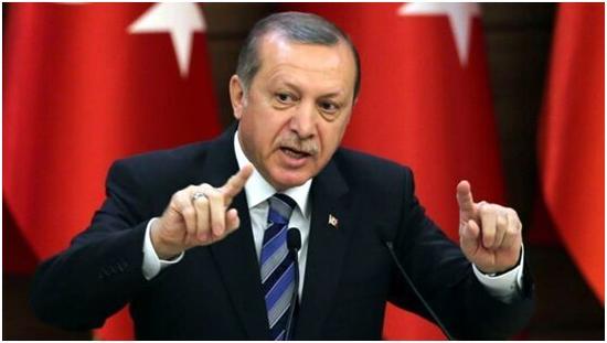 美方对土耳其保镖团队通缉令 土总统强烈谴责