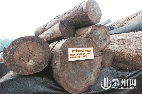 去年以来，红木原料进口大幅减少。（CFP 图）