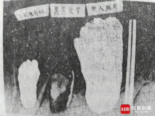 起底神农架野人之谜 古人类学家:有野人是胡扯