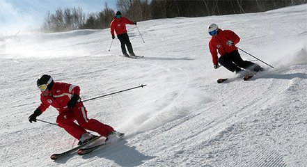 t01722803ec276a6bfe t01722803ec276a6bfe