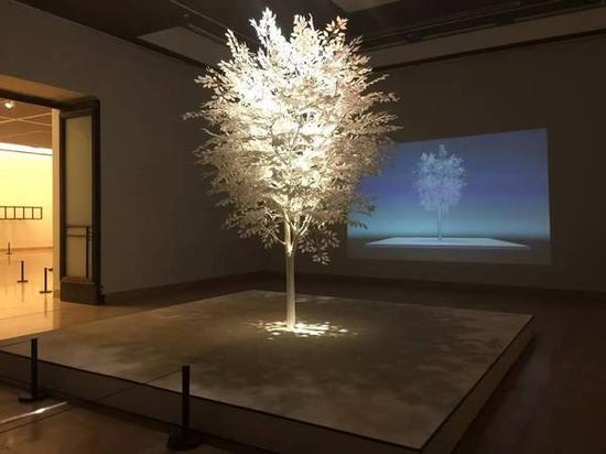 唐勇，《平衡》，树、工业纤维、黑线、树脂、互动设备，长2.4米、宽4.2米、高3.6米，2016