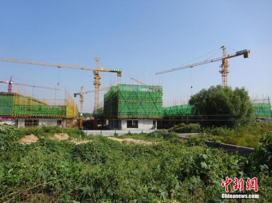 资料图。董飞 摄