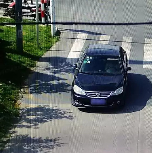 “碰瓷党”用鸽子血做道具 碰瓷百名大货车司机