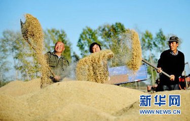 t0193184f182aa9249a t0193184f182aa9249a