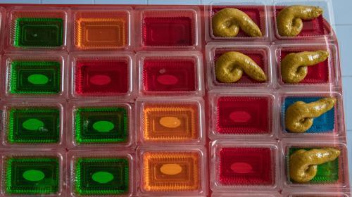 “狗大便”甜点由椰奶、明胶和食用色素做成。（图片来源：法新社）