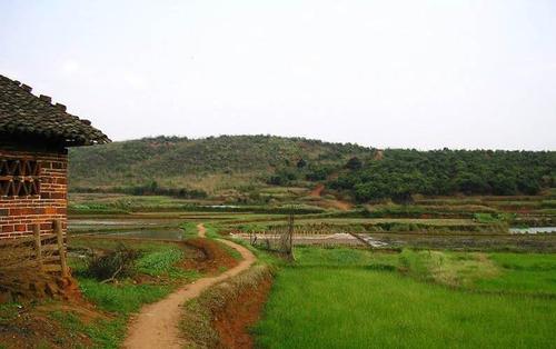 QQ截图20170627143539