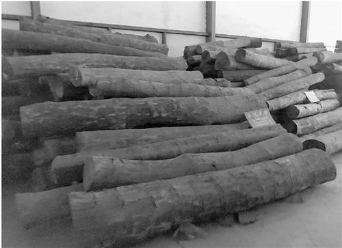 　　东阳一些商家囤售的血檀木。