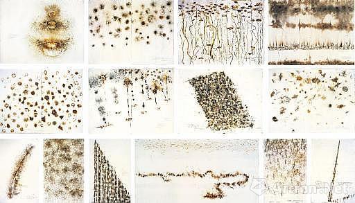 2007年，中国艺术家蔡国强的《APEC景观焰火表演十四幅草图》在香港佳士得秋拍中以7,425万港元创下当时中国当代艺术、中国画作及蔡国强个人作品世界拍卖最高成交价的三项世界拍卖纪录。