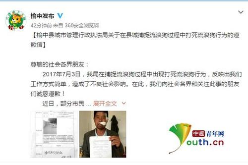 兰州大量流浪狗被棒杀 城管道歉并称以后依规捕捉