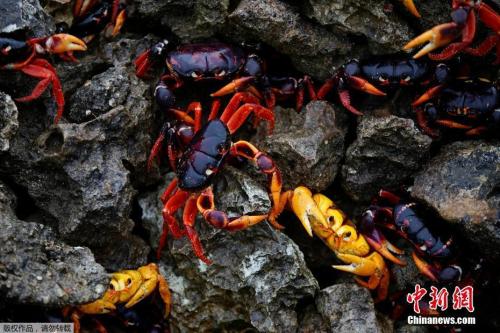 点击进入下一页