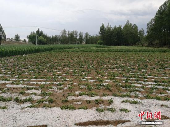 资料图：冰雹天气。王永平 摄