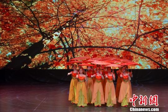 中国侨网《加国颂 中华情》大型综艺晚会剧照（多伦多华星艺术团供图）