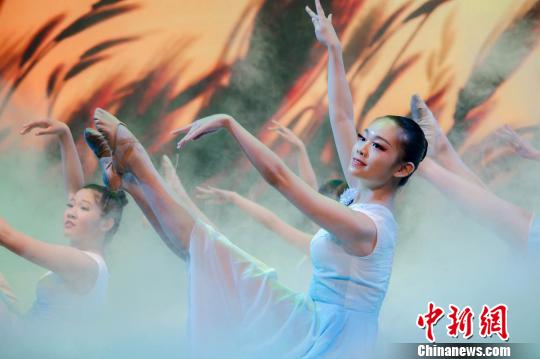 《加国颂 中华情》大型综艺晚会剧照（多伦多华星艺术团供图）