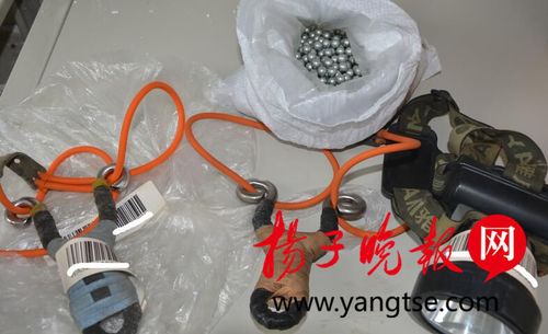 吃货为解馋网上买弹弓 射杀29只鸟食用被起诉