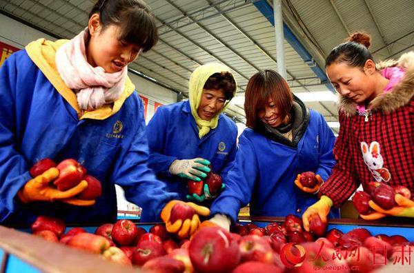 QQ截图20170713111237