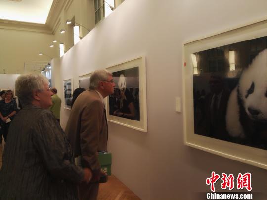 “熊猫与世界—中国大熊猫?；の幕帐醭删驼埂痹诘鹿亓致薷浪拐固≈乜?钟欣 摄