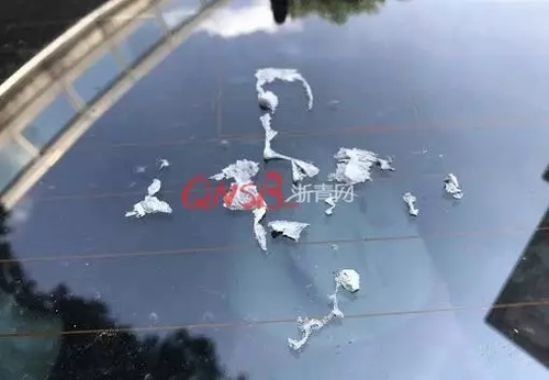 停车难！女子小区停车被保安贴单子大骂：不要脸