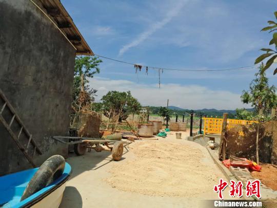 除部分树枝和电线上还残留着洪水中的杂物外，坝塘镇的灾后垃圾已基本清理完毕?！⊥蹶魂?摄