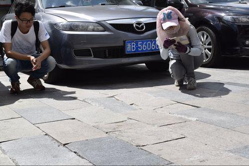 宁波20名大学生做城管15天采集问题3000余件