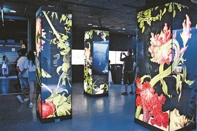 展示郎世宁中西合璧绘画成就