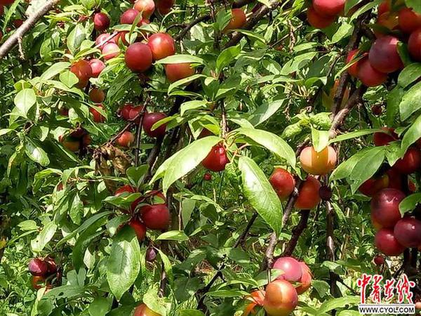 点击进入下一页