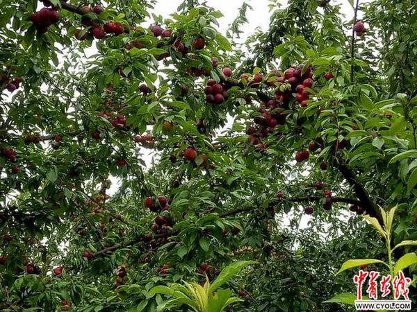 点击进入下一页