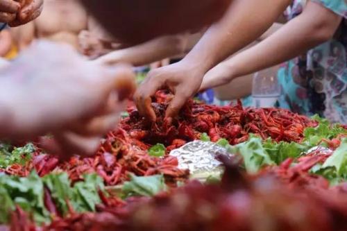 　　<a target='_blank' href='http://www.chinanews.com/'>中新社</a>发 盛嘉 摄