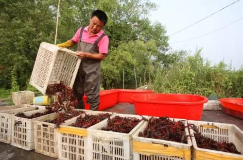 　　<a target='_blank' href='http://www.chinanews.com/'>中新社</a>发 胡卫国 摄