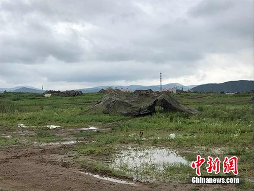 突击车隐蔽伪装。张曦 摄