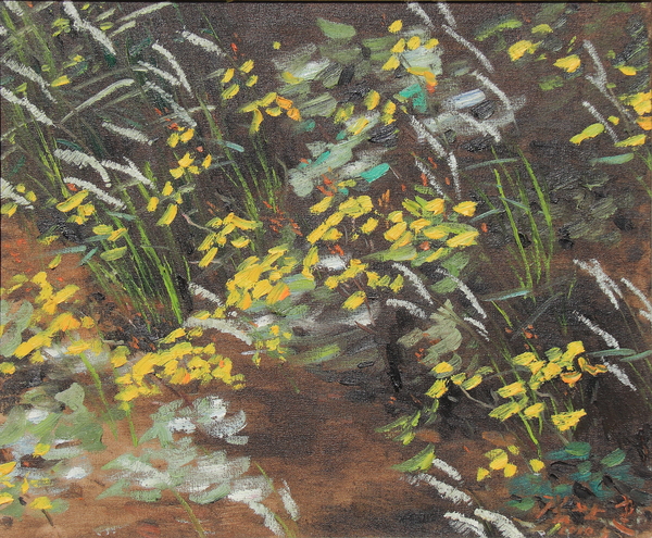 张世健《苦菜花》 50×60cm 布面油画 2010