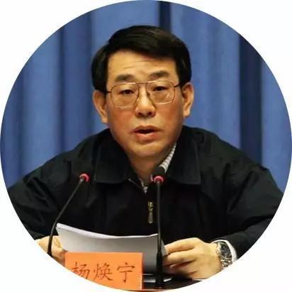 杨焕宁:简历三天前被撤