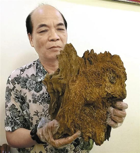 许文胜展示“烂木头”劈下来的碎片