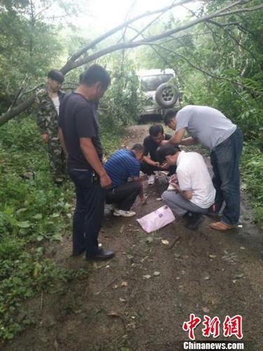 工作人员现场测量勘察 天桥岭林业局供图 摄