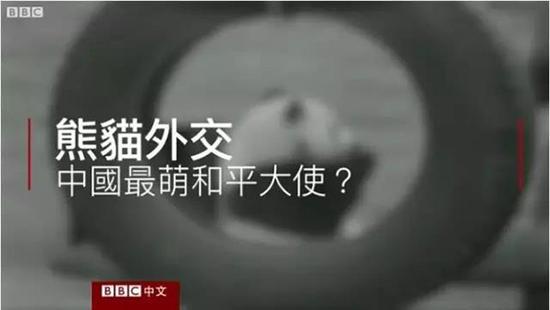 外媒:熊猫是中国的赚钱工具、外交手段和置换筹码